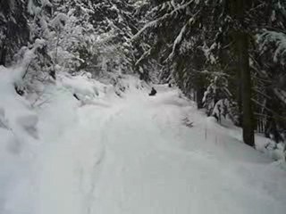 14 02 2010 Luge en foret 6