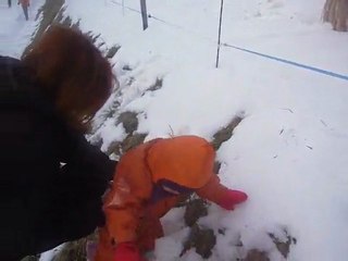 17 02 2010 Chevaux au dessus du Plateau d Assy