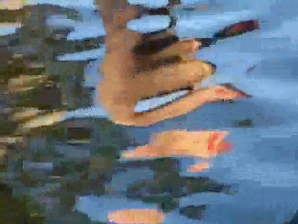 Laurika Rauch - Stille Waters