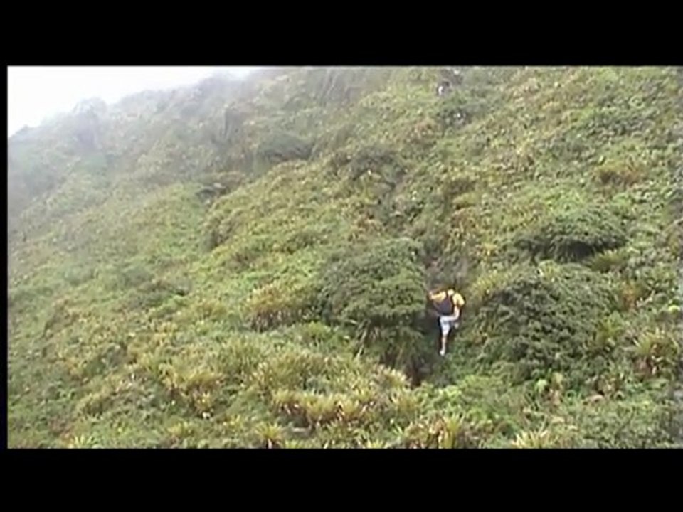 montagne Peléé
