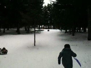 Luge aux Arcs