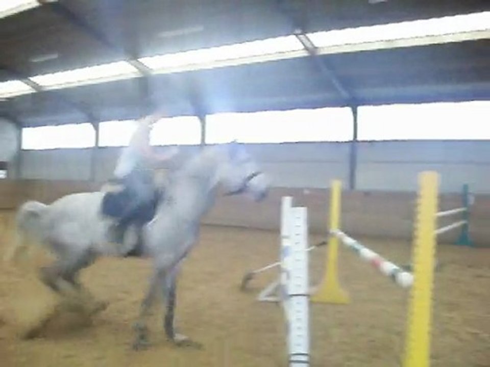 Obstacle du 18 janvier 2010 avec Max