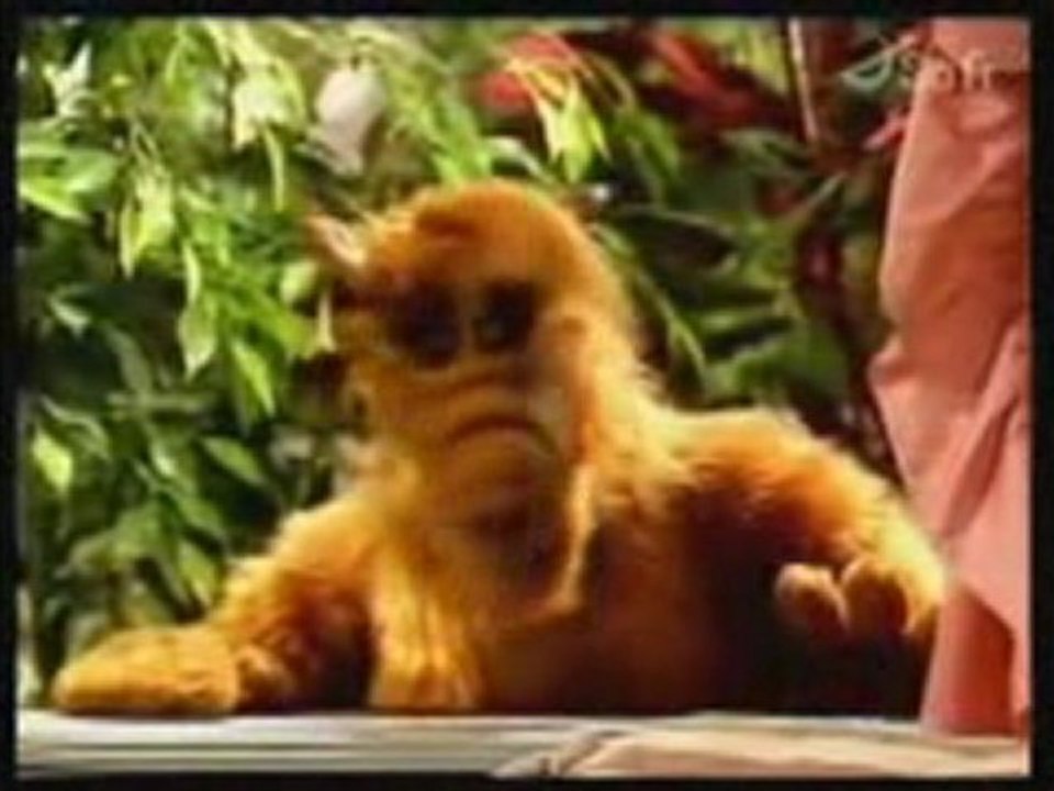 [Alf] Alf et les chats