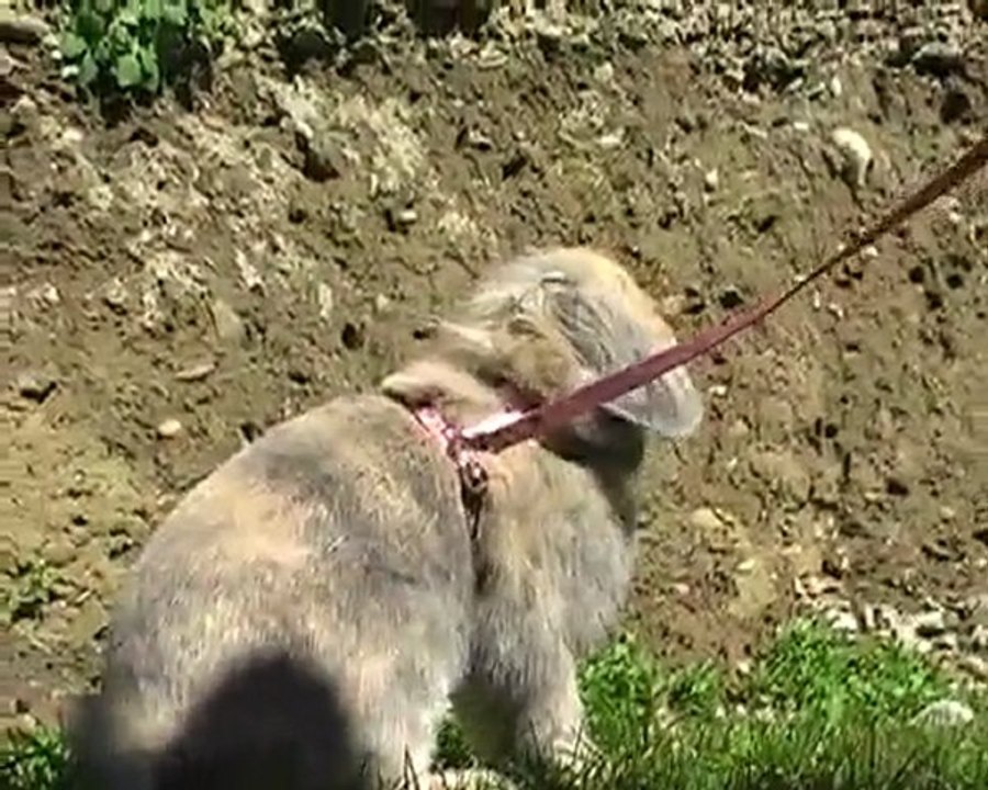 Sortie de Chanelle le 18 & 21 Février 2010