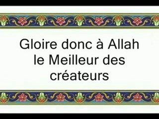 021 Invocation lors de prosternation après 1 verset du Coran