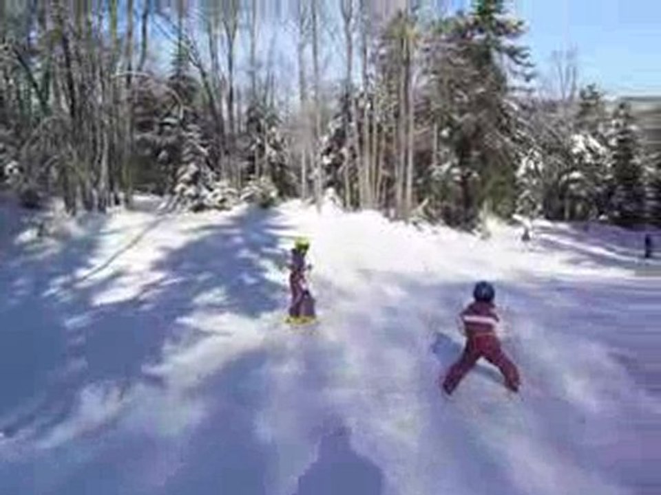 Ski Plans d'Hotonnes 21 fév 2010 (3)