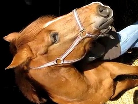 samedi 20 février 2010