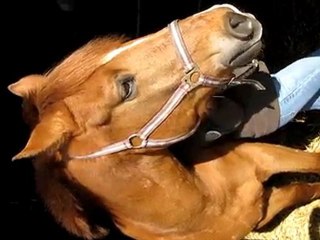 samedi 20 février 2010