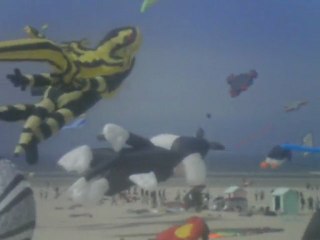 les cerf  volant de berck sur mer