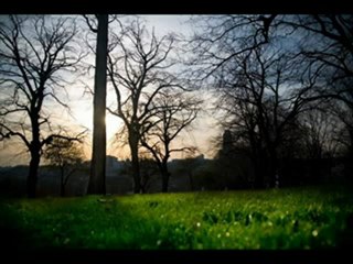 The Glorified Names-Benammi