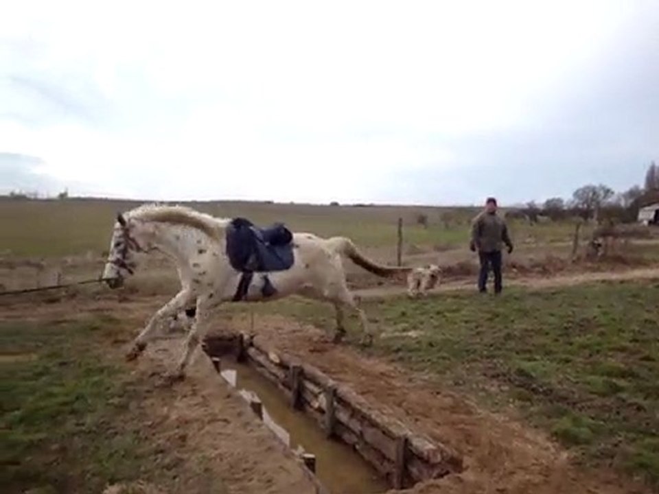 Prunelle saute le fossé