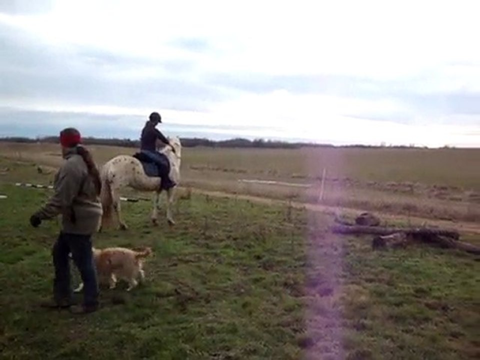 Prunelle saute le fossé (en selle)