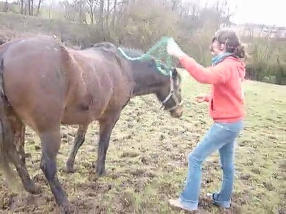 la pirouette....