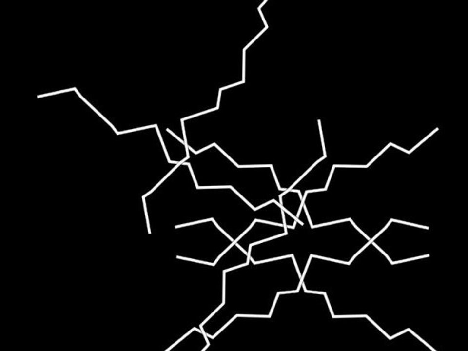 1M78 - Mystère musulman.