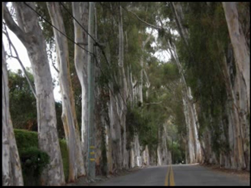 THE ROAD OF LIFE -100PERCENTREALWORDS.BLOGSPOT.COM
