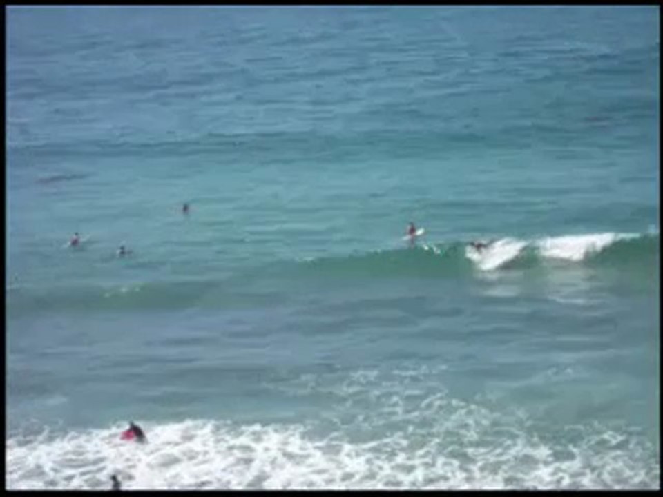 CATCH A WAVE- 100PERCENTREALWORDS. BLOGSPOT. COM