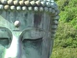 le plus grand bouddha au japon