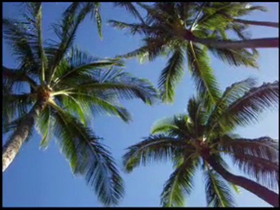 BLOWIN IN THE WIND - 100PERCENTREALWORDS.BLOGSPOT.COM