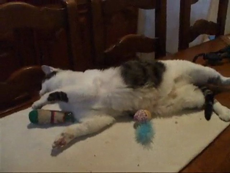 Zoé s'amuse...