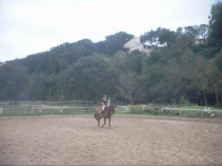 Dressage 21 fev 2010