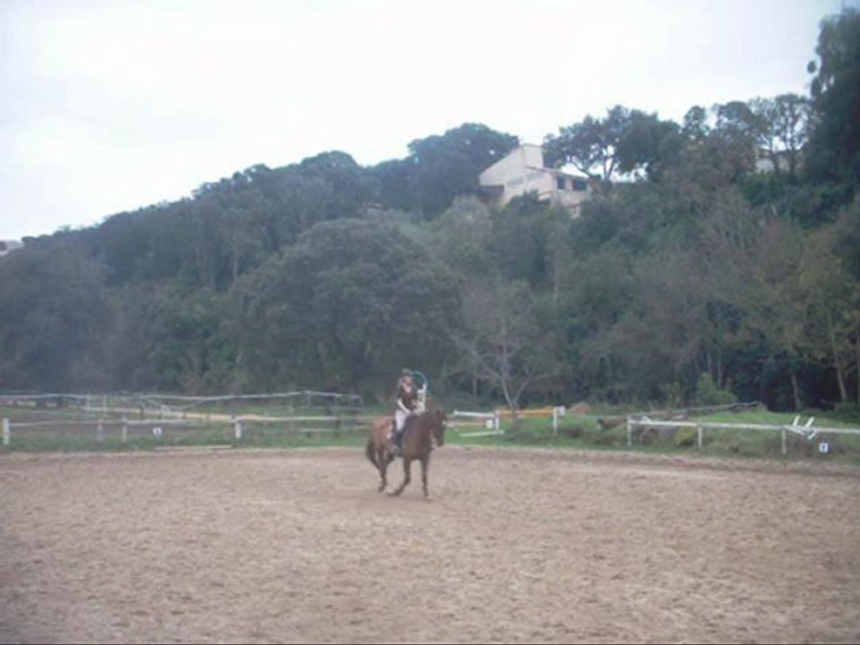 Dressage 21 fev 2010