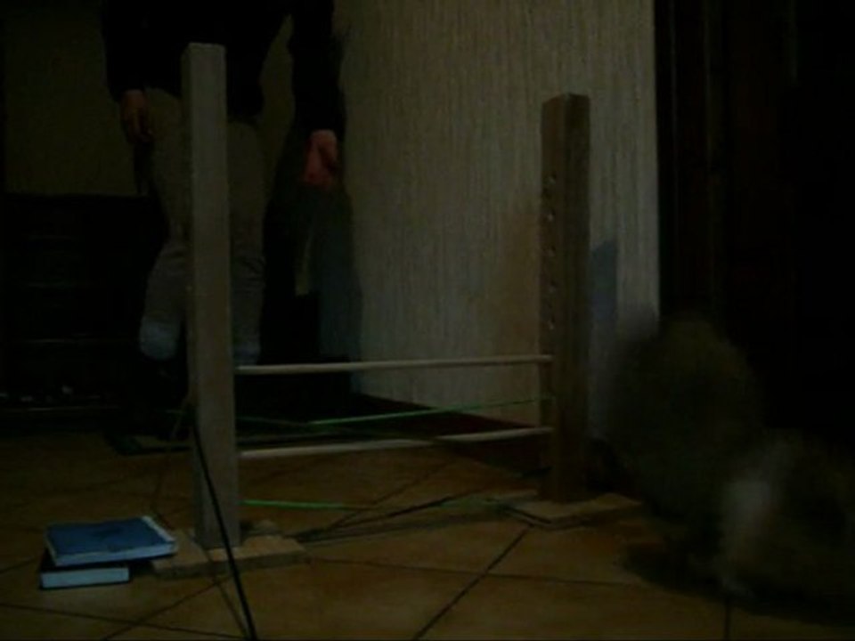 Prune extraits scéance saut 21/02/10