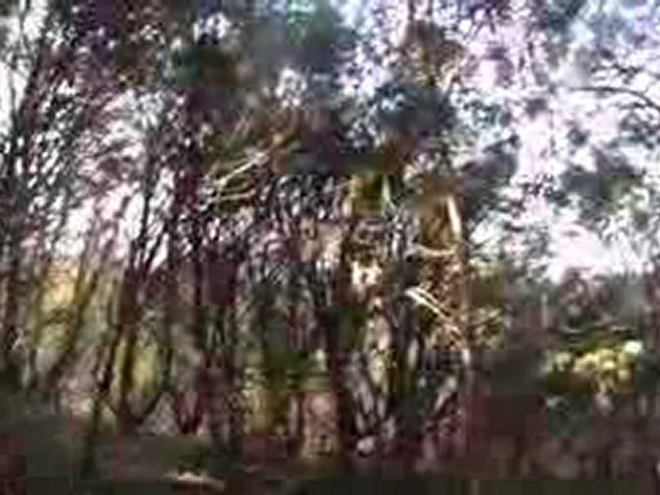 mais que fais papa pendant son temps libre ?