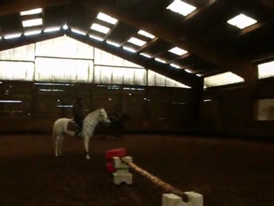 Lancelot et moi - séance de mise en selle - 20 février 2010