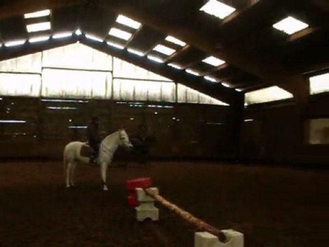 Lancelot et moi - séance de mise en selle - 20 février 2010