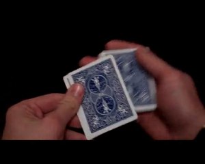 01 - le comptage elmsley