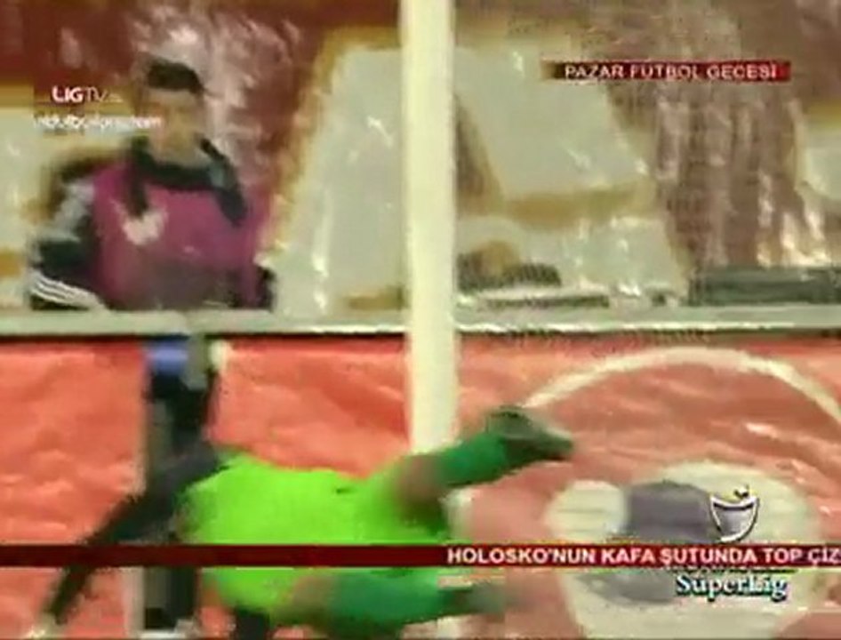 Sporfans