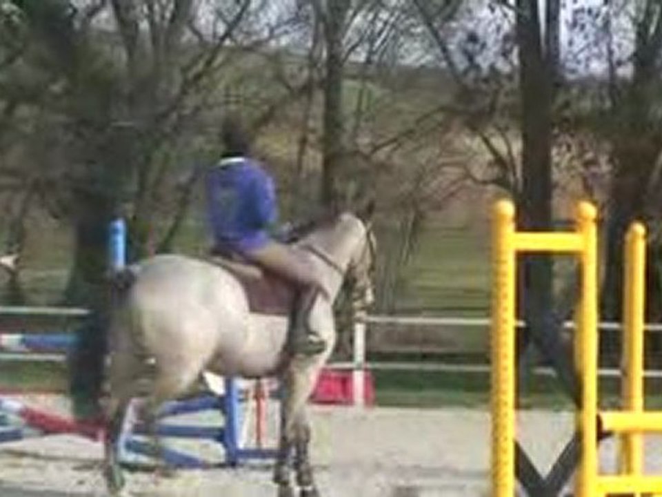 Calypso et moi => 1er tour 90/1m