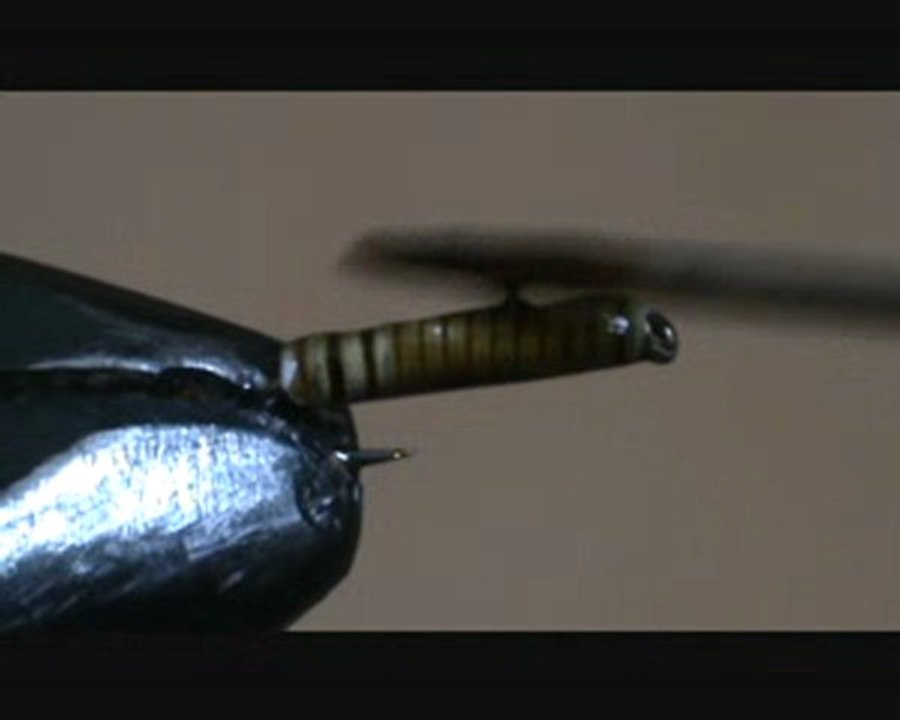 videos de montage d'une nymphe à ombre tout en plomb