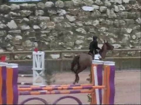 Vitesse 110 à Barbaste (février 2010)