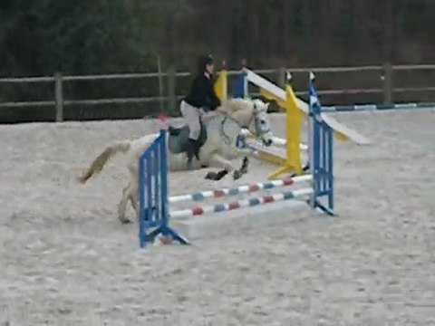 Concours Entrainement CE Val de Sienne Février 2010 (60cm)