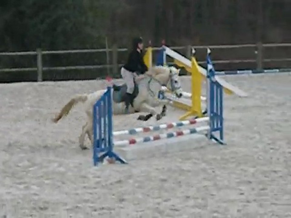 Concours Entrainement CE Val de Sienne Février 2010 (60cm)