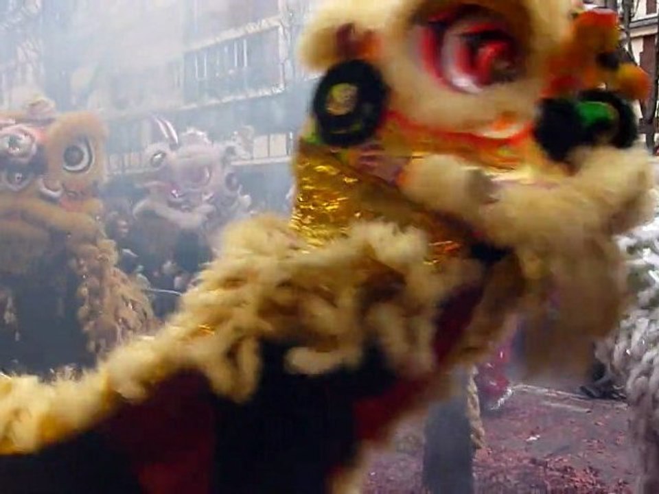 Nouvel An Chinois 2010 dimanche 21 février, PARIS