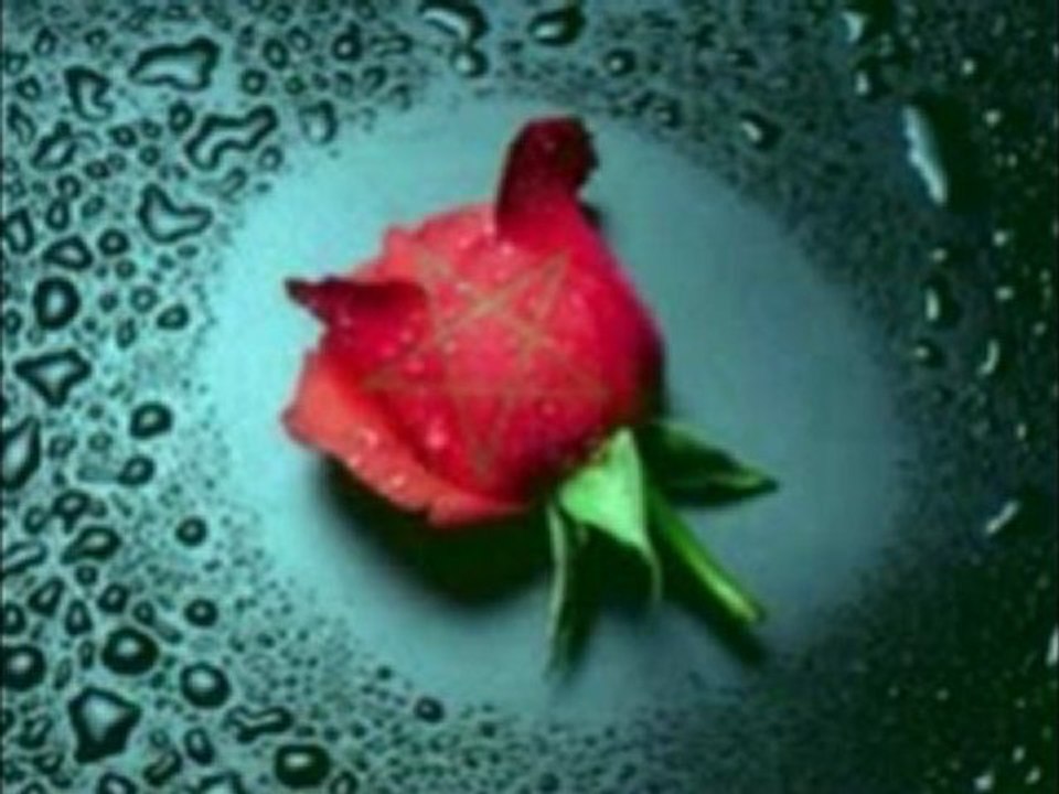 adil el miloudi, chaabi wa haid al miloudi