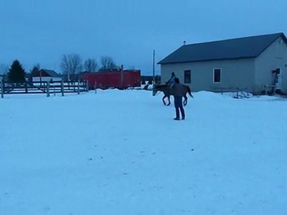 JOg moi & pined