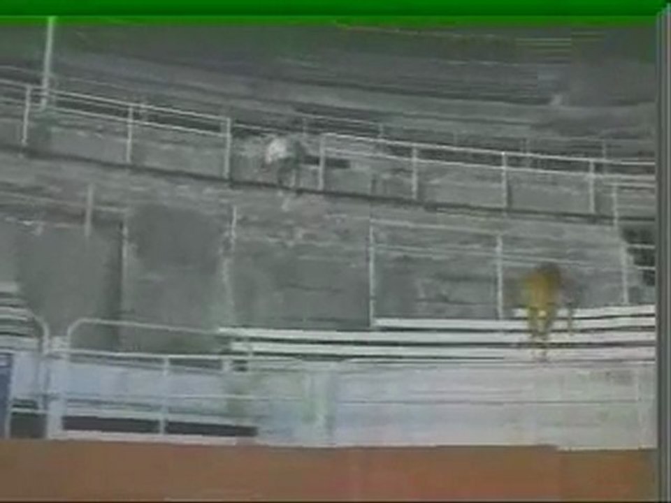 JC Van Damme & Todd Senofonte vs. Tiger in Double Team