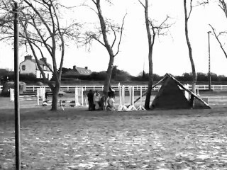 Club poney 3 avec Poyou'.