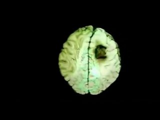 What LIES Behind The Curtain_2x5