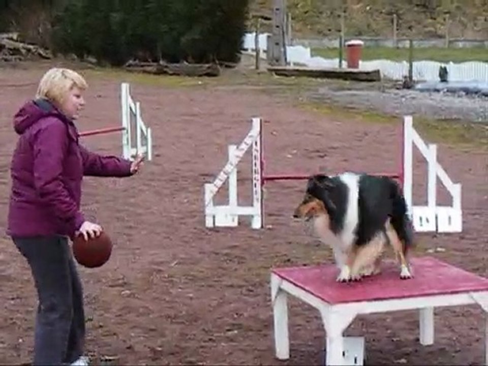 agility