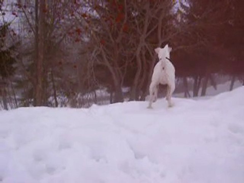 Diva à la montagne
