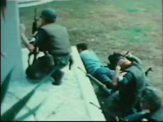 Vietnam: Tet-offensief