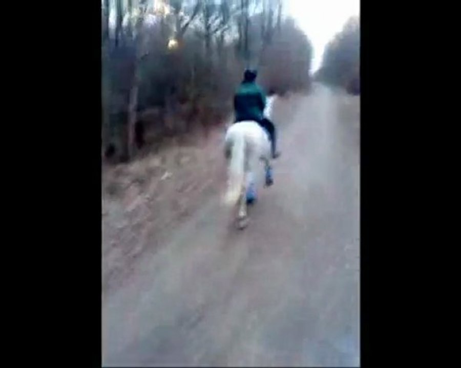 Première sortie en foret de Notre dame !