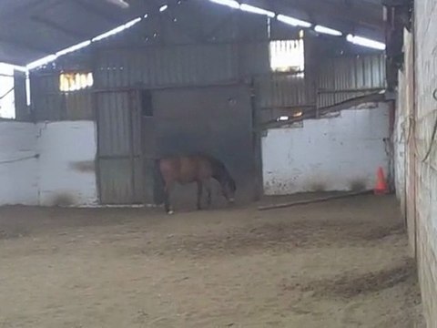 je l aime très fort mon balou