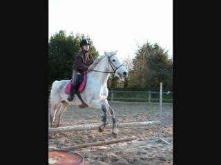 Cours de saut avec cop