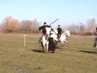 Ferrade à Camagri le 20 février 2010