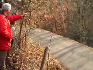 rallye monte carlo 2008